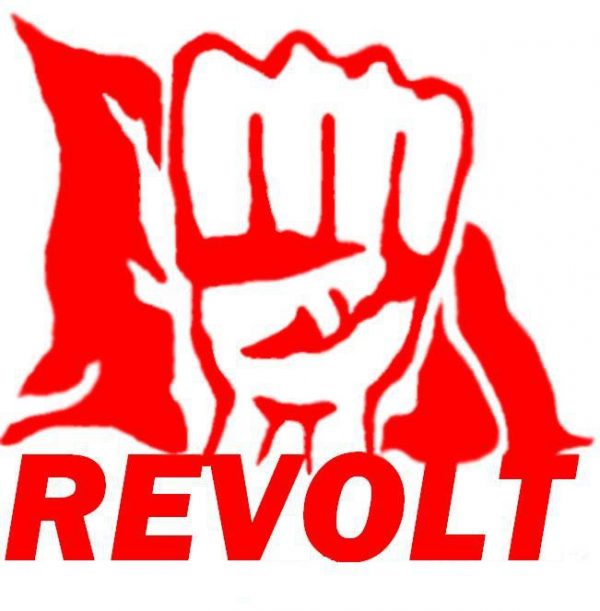 Omladinski pokret “Revolt” izdao publikaciju eseja nastalih u okviru “Škole političkog aktivizma 2020.”